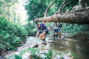 BIB: 
                            <button type="button" onclick="openModal(25435533)" class="btn btn-primary btn-sm float-right btn-popup" data-toggle="modal" data-target=".modal-high-quality">
                        <i class="fas fa-shopping-cart"></i> Add to Cart
                    </button>
                                            <button type="button" onclick="isThisMe(25435533, true)" class="btn btn-success btn-sm float-right btn-popup btn-isme hidden" data-toggle="tooltip" data-placement="bottom" title="นี่คือรูปของคุณใช่ไหม คลิกที่นี่เพื่อเอาเข้าอัลบั้ม">
                        <i class="fas fa-plus"></i> Add to album
                    </button>
                    <button type="button" onclick="isThisMe(25435533, false)" class="btn btn-warning btn-sm float-right btn-popup btn-isnotme hidden">
                        <i class="fas fa-ban"></i> Remove from album
                    </button>